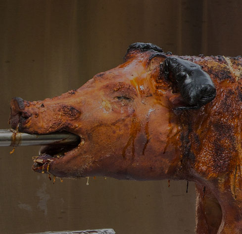 Pig on a spit being hog roasted in Hertfordshire and Essex